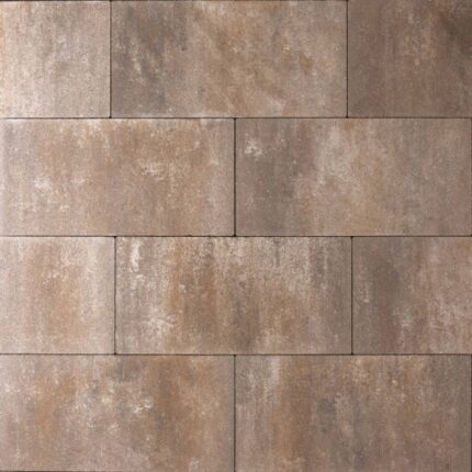 Smartton SE Kilimanjaro 30x60x4