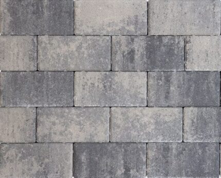 Betontegel 20x30x6 Grijs/Zwart met facet